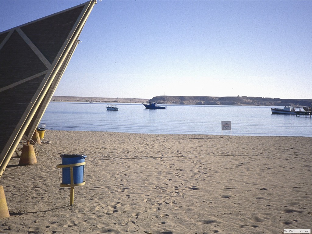 AASharm07