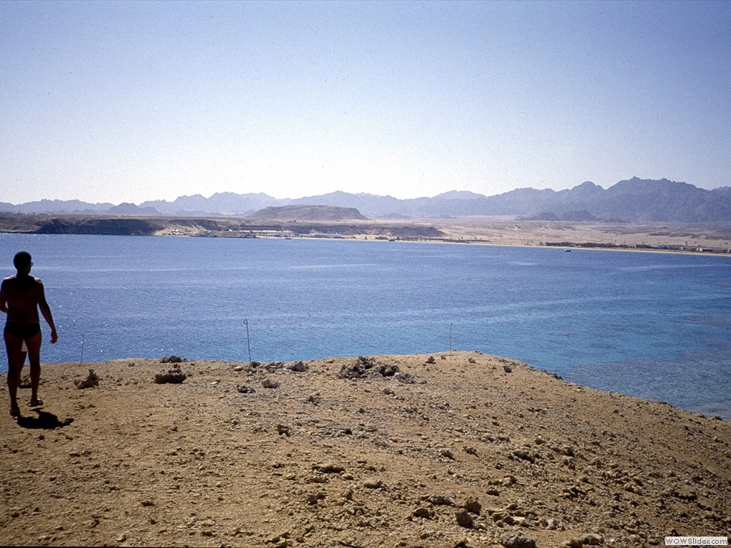 AASharm10